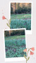 WI Snowdrops in 2024